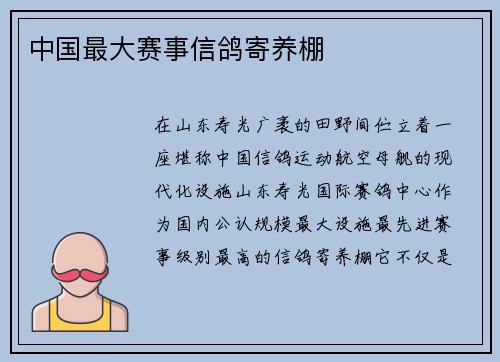 中国最大赛事信鸽寄养棚